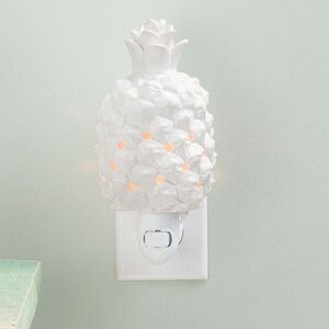 Scentsy mini plug in SOUTHERN HOSPITALITY warmer